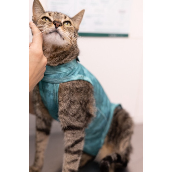 Haina Postoperatorie pentru Pisici DRY LIGHT SUPREME CAT Verde nr. 4 (5–7 kg), Pet Med